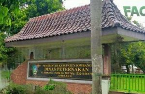 Dinas Peternakan Jombang Salurkan 194.957 Dosis Vaksin PMK Sampai Akhir 2023