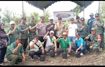 Perhutani Jombang Tanam 1000 Bibit Jati Bersama Muspika Dan Masyarakat Kecamatan Ngluyu Nganjuk