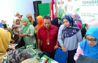 Perhutani Jombang Suport Kegiatan IIK Perhutani Sosialisasi Budidaya Tanaman Toga Hidroponik Di Jombang